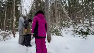 Frozen Waterfalls Like You've Never Seen Before: Winter's Hidden Beauty #canada #winter #snow #video