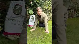 Sowing Winter Grass Seed