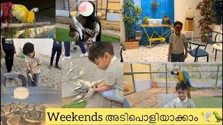 ഒരു അവധി ദിവസ വിശേഷങ്ങൾ|#birds #farm #weekend 