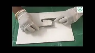 Plaster Cube Demonstration