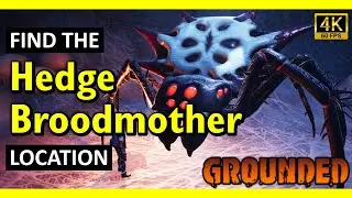 Hedge Broodmother Location | Grounded (2025)