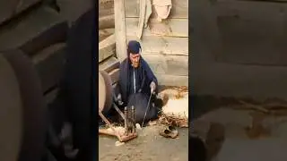 😲 ESTA ES LA PERSONA M&Aacute;S ANTIGUA JAM&Aacute;S FILMADA #shorts #curiosidades
