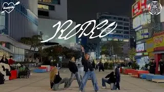rodeo-c.BADA LEEㅣ 이화여대 vivacity ㅣ 2025 신촌 버스킹
