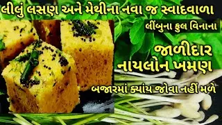 આ ટેસ્ટના નાયલોન/ઇન્ટસ્ટંટ ખમણ બજારમાં પણ નહીં મળે/ kalpana Naik