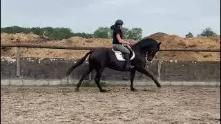 Grietje: WH SCOTTY x BRANDUS 345