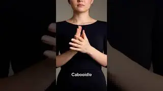 Caboodle