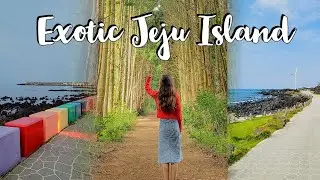 3 hidden gems of Jeju..the magical island of Korea you don't want to miss🌟