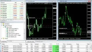 Profit 1000% making machine Forex EA  Account Proof 2019# Account /6568529 pass/i1r2f3AN