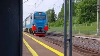 Коллекция летних «Аврор» не по СМЕ 