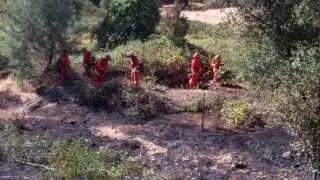 Highway 49 spot fires