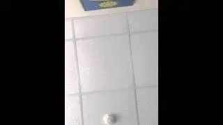 Солнечногорский ТИК (Солнечногорский ЦИРК)