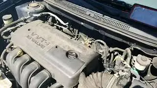 2006 Corolla p0441 Incorrect purge flow