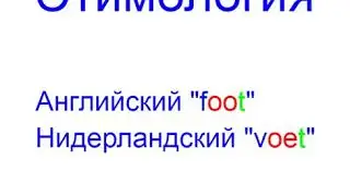 foot etymology voet этимология