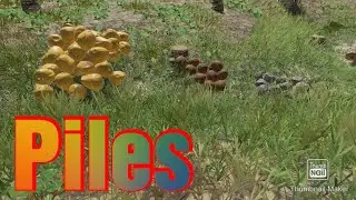 How to make Storage Piles in Stranded deep