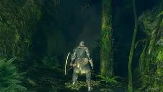 Dark Souls - No Music Ambience | Darkroot Garden |
