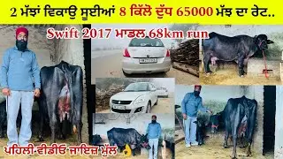 ਹੈਪੀ ਕੋਲ 2 ਮੱਝਾਂ ਵਿਕਾਊ 1 ਮੱਝ ਥੱਲੇ 9 ਕਿੱਲੋ ਦੁੱਧ ਮੁੱਲ 65,000 ਲੁੱਟ ਲਓ ਮੇਲਾ ਪਿੰਡ ਨੱਥੂਪੁਰ (ਤਰਨਤਾਰਨ)