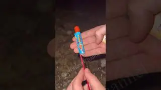 Firecracker underwater test #shorts #cracker #diy #firework #trick #lifehack #experiment