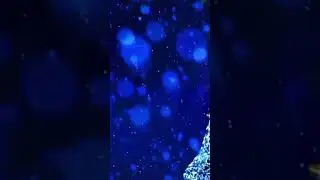Merry Christmas #beatinsomnia beatinsomnia #winter #blizzardsounds #relaxingmusic #sea