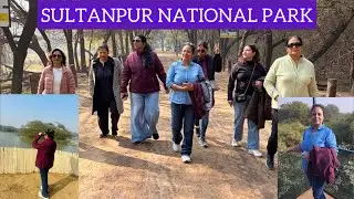 Sultanpur National Park : Beautiful Migrated Birds : Travel with Friendz ❤️