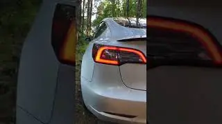 Tesla Model 3 Long Range #shorts Тесла Модель 3 Лонг Рендж в лесу