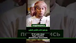 Сура 101 &laquo;аль-Кариа&raquo; (#Бедствие).