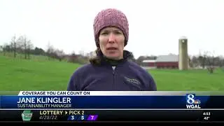 Pennsylvania Dairy Farmers Planting Thousands of Trees to Protect the Chesapeake Bay