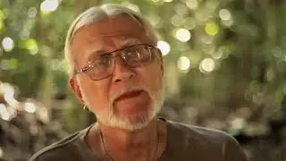 Аяваска. Документальный фильм.