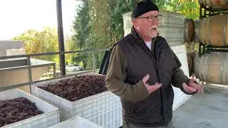Averill Creek Winery