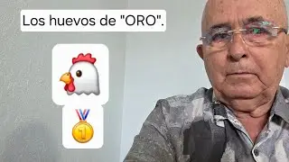 Las gallinas 🐔 de los huevos 🥚de oro.Campeonas mundiales por  precio de los huevos.🐣🐤