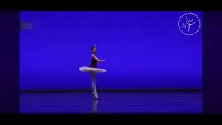 Sloane Maa Harlequinade