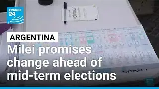 Milei promises change in Argentina ahead of mid-term&nbsp;elections &bull; FRANCE 24 English