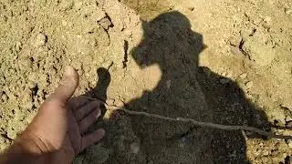Φυστικιές Ποντίκης, συχνά λάθη