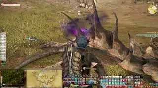 First-Person POV Final Fantasy XIV | [Death From Above | Southern Thanalan Side Quest LVL 27]