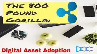 The 800 Pound Gorilla: Digital Asset Adoption