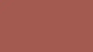 Color Redwood, HEX #A45A52, RGB 164,90,82