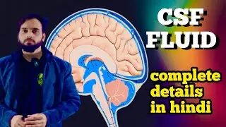 Cerebrospinal fluid | Cerebrospinal fluid anatomy | cerebrospinal fluid in Hindi | CSF fluid