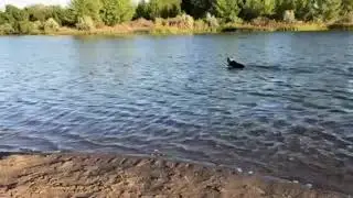Video of St. Anthony Sand Dunes - Egin Lakes Campground/Day Use Area, ID from Sheena S.