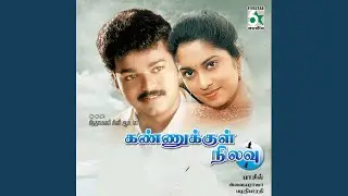 Iravu Pagalai Theda
