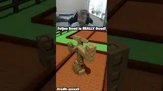 NEW FEIJOA SEED IS REALLY GOOD SHOWCASE! Price, How It Looks, & Sell Price (Grow A Garden Roblox)
