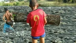 Amazing children net fishing using bamboo trap in cambodia how to net fishing using bamboo