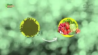 Clean india video