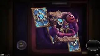 Hearthstone  - 2 WOTG Card Packs opened