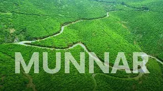 Munnar Unveiled: Aerial Views of Enchanting Tea Gardens | Drone Video Kerala, India [4k]