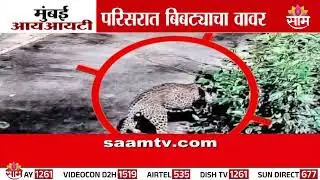 मुंबई आयआयटी परिसरात बिबट्या दिसला | leopard in IIT Mumbai