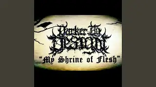 My Shrine of Flesh