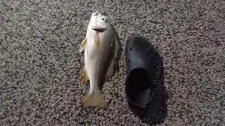Vlog 5/2025 - Fishing at Siglap Canal Lookout Deck