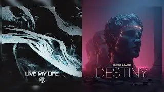 Live My Life x Destiny - Dubvision & Nicky Romero vs Alesso & Sacha (HandZ Mashup)