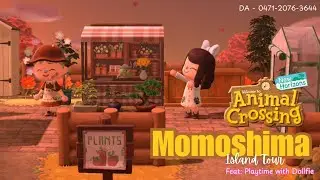 ACNH Island Tour Momoshima (feat. Playtime with Dollfie)