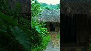 Rain Falling Over a Quiet Village House 🌧️ | Nostalgic Cinematic Rainy Mood