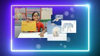 How do birds and animals live in cold regions? - Delisha D'souza